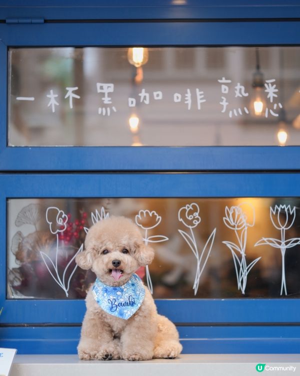 佐敦寵物友善餐廳-PASTIME💙🤍