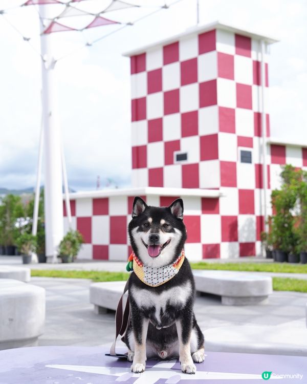 啟德打卡！行街散步一流🤩 