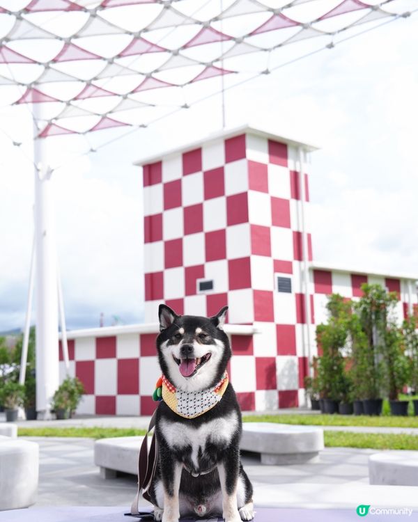 啟德打卡！行街散步一流🤩 