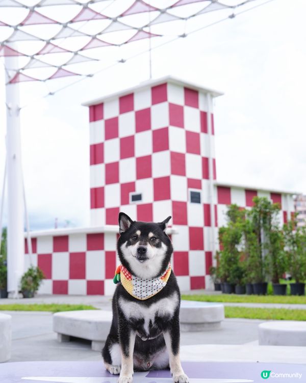 啟德打卡！行街散步一流🤩 