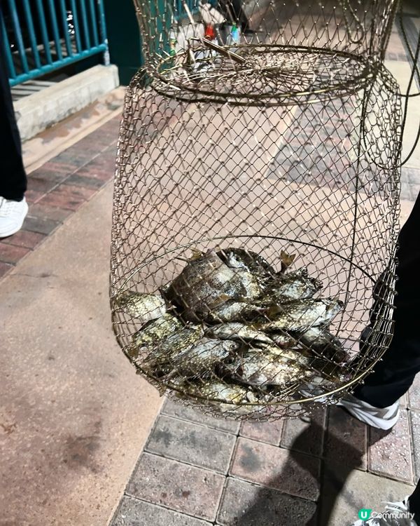 即使環境黑,夜晚去chok墨魚🦑釣魚🎣