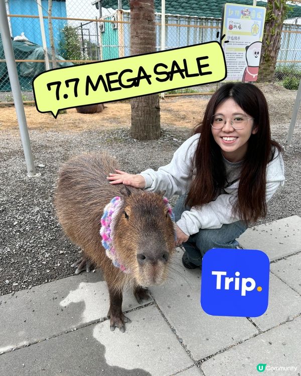 7.7 Mega Sale 狂賞又返嚟啦 #情報優惠 