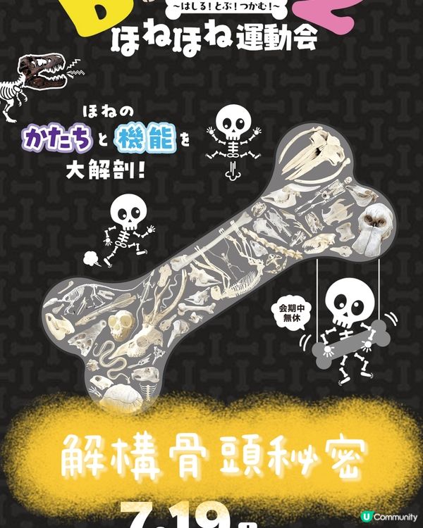 解構骨頭的秘密㊙️期間限定展