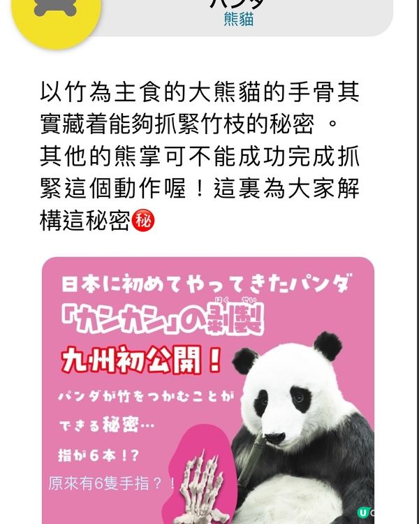 解構骨頭的秘密㊙️期間限定展