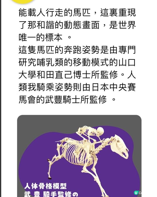 解構骨頭的秘密㊙️期間限定展