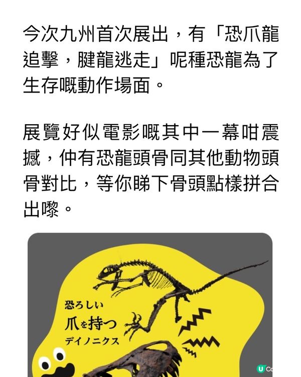 解構骨頭的秘密㊙️期間限定展