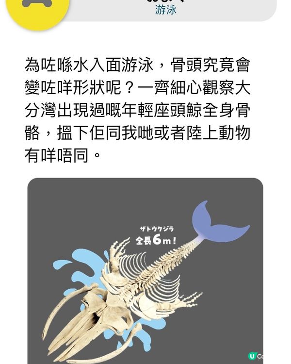 解構骨頭的秘密㊙️期間限定展