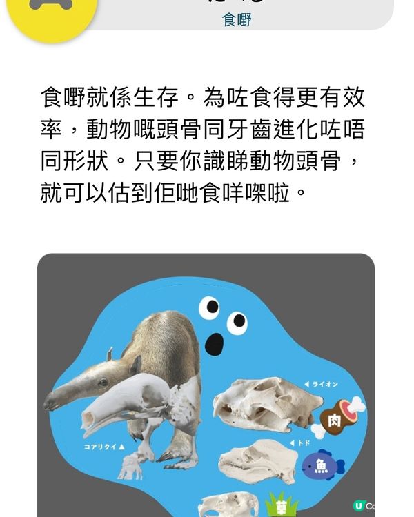 解構骨頭的秘密㊙️期間限定展