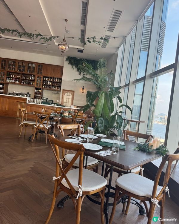 尖咀生日飯🥳！魚子醬帶子超正🤤！香茅雞翼必食！😋