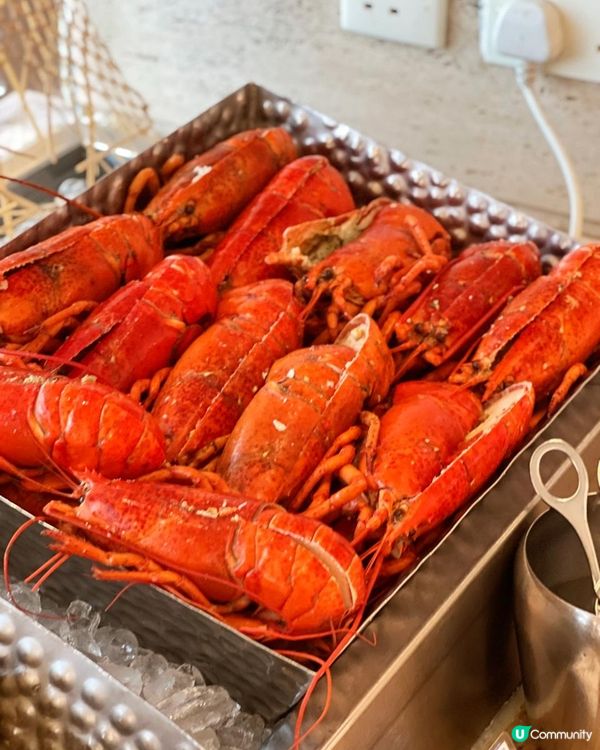 紅磡都會海逸酒店自助晚餐