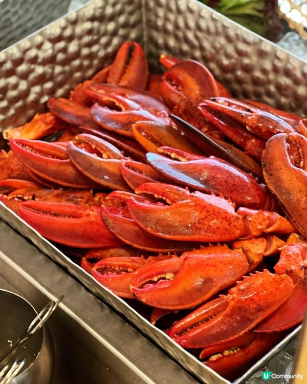 紅磡都會海逸酒店自助晚餐