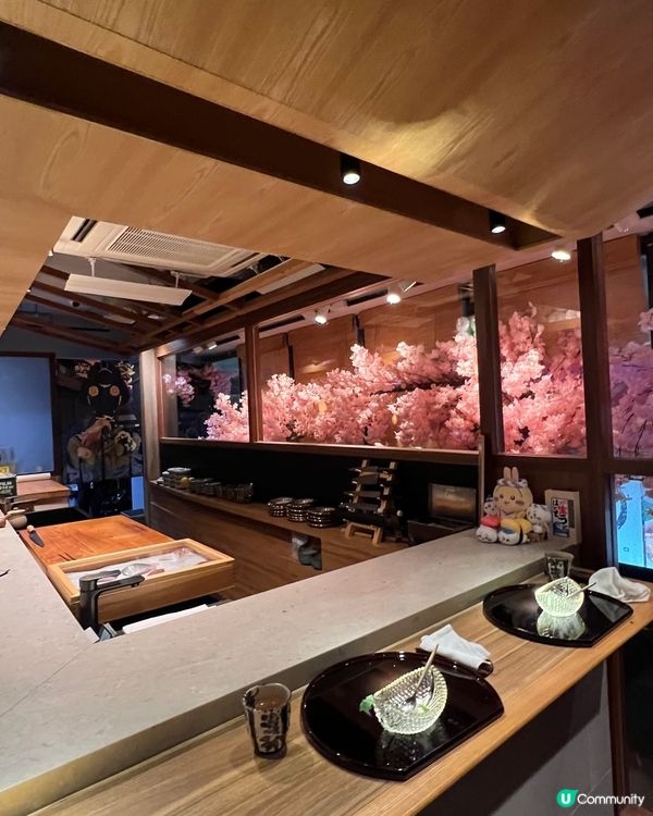 有櫻花落葉氣氛超高人氣Omakase