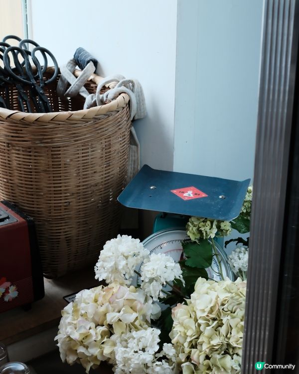 台北旅行🧳買手信買家具或者冇嘢買都可以行吓嘅舖