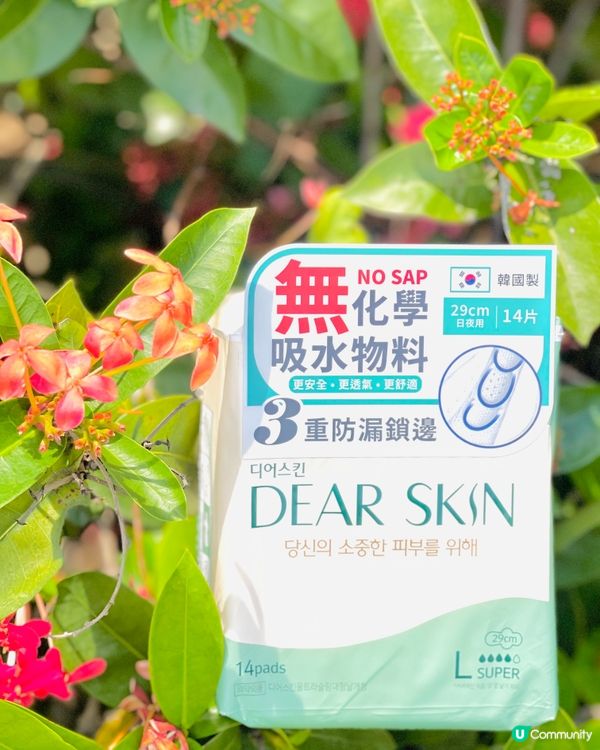 🌟韓國No.1 衛生巾品牌DEAR SKIN🌟萬寧終於有喇👍🏻