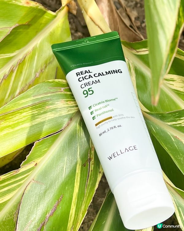 【真實測評】曬後急救神器！72小時修護實錄🔥