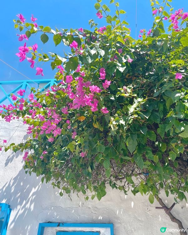 🇻🇳峴港|假裝在聖托里尼🩵