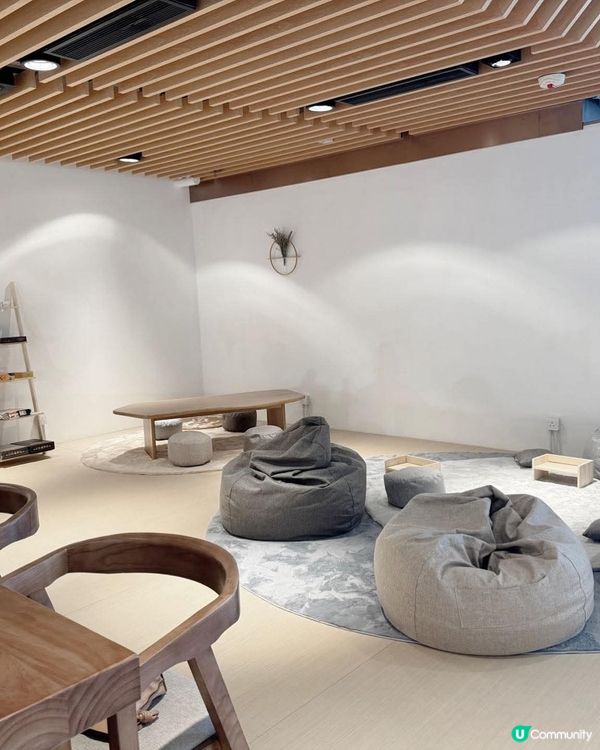 室內寵物天堂2.0！毛孩放電必去🥳