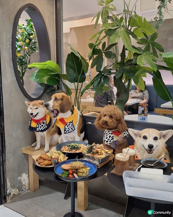 觀塘東廣場美食推介！😋 明太子意粉必試！🍝