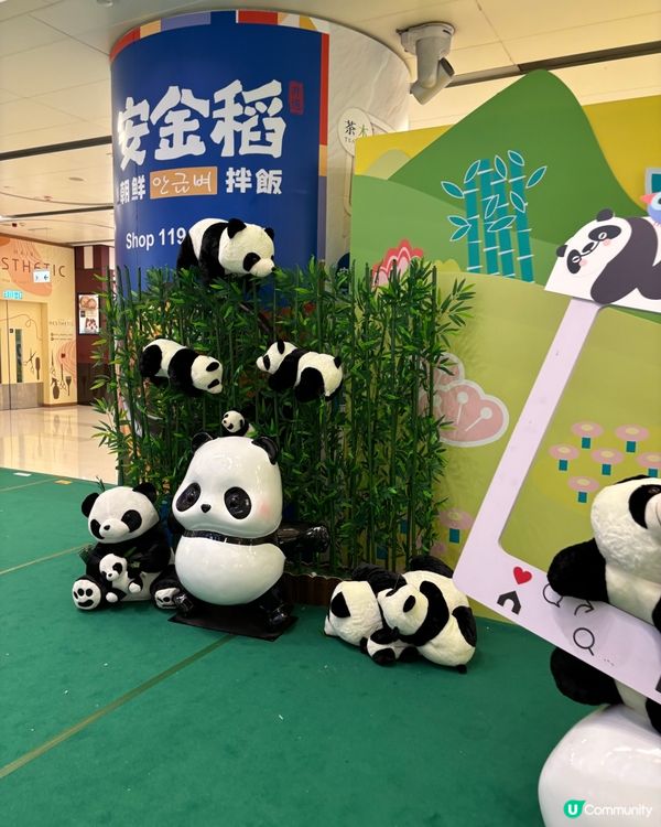 Mikiki 仲夏熊貓市集