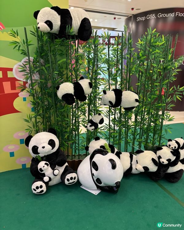 Mikiki 仲夏熊貓市集