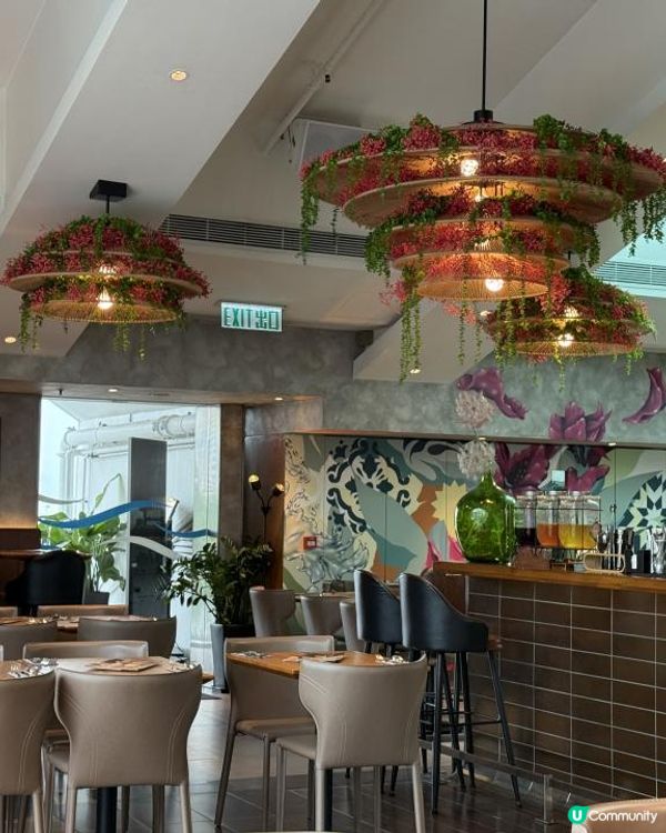 🍽️ 環境超正 semi lunch buffet 🍽️