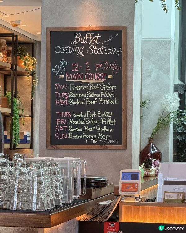 🍽️ 環境超正 semi lunch buffet 🍽️