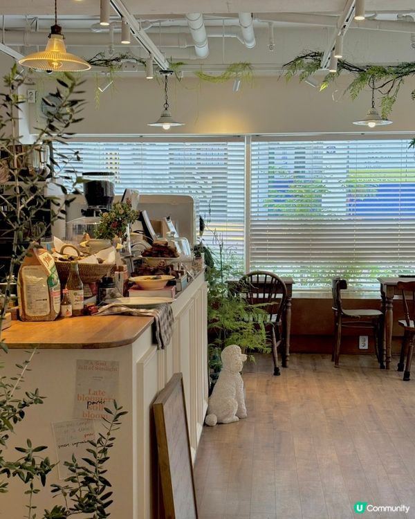 🍰大邱甜品推介超驚喜🌰栗子Tiramisu