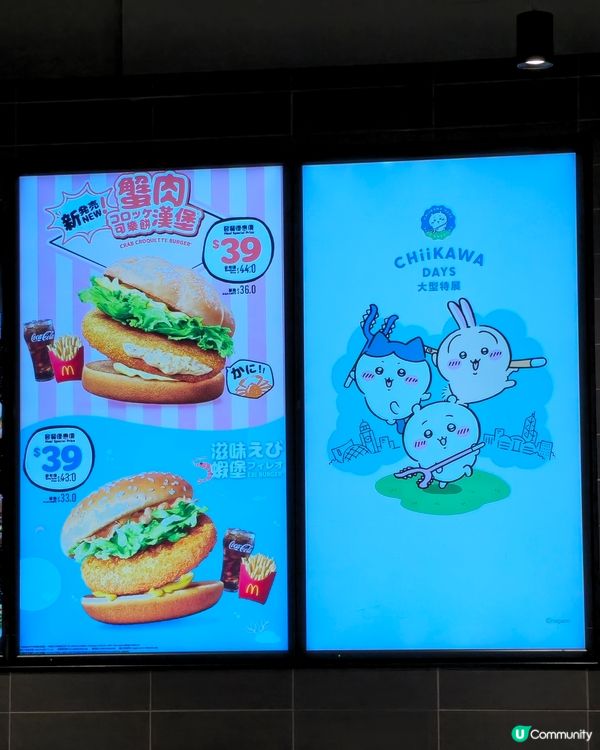 Chiikawa Days 燉蛋批+麥旋風🍦！