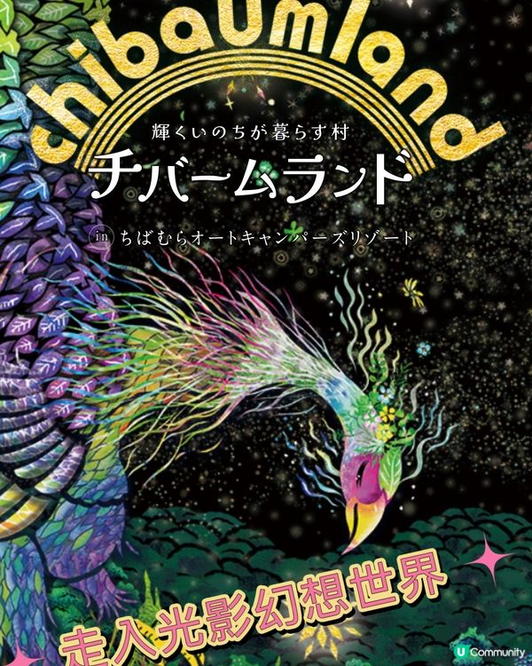 ✨走進光影幻想世界✨