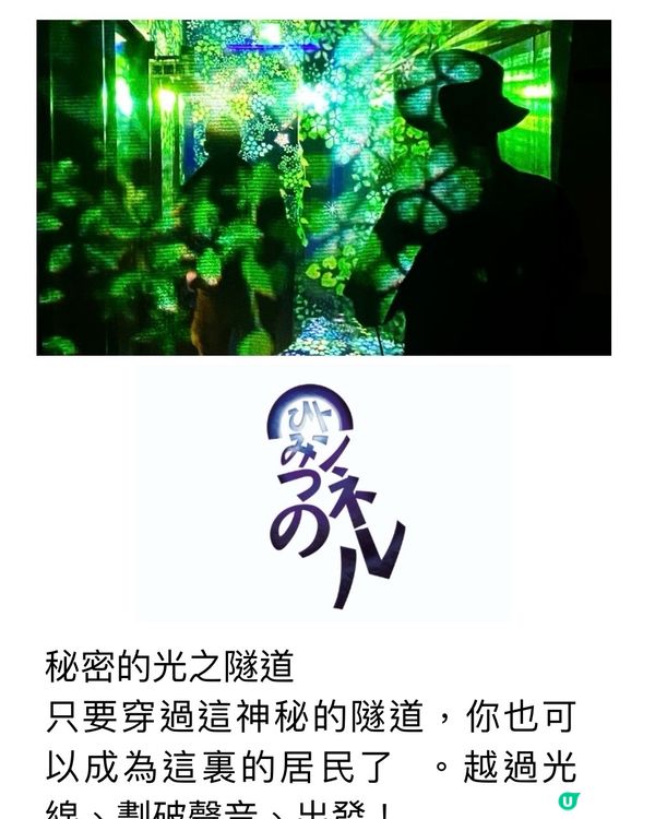 ✨走進光影幻想世界✨