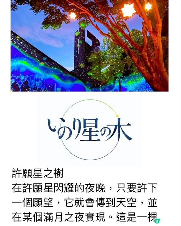 ✨走進光影幻想世界✨