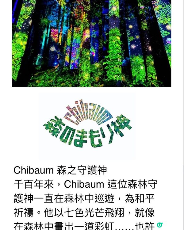 ✨走進光影幻想世界✨