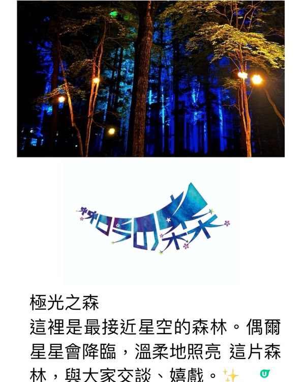 ✨走進光影幻想世界✨