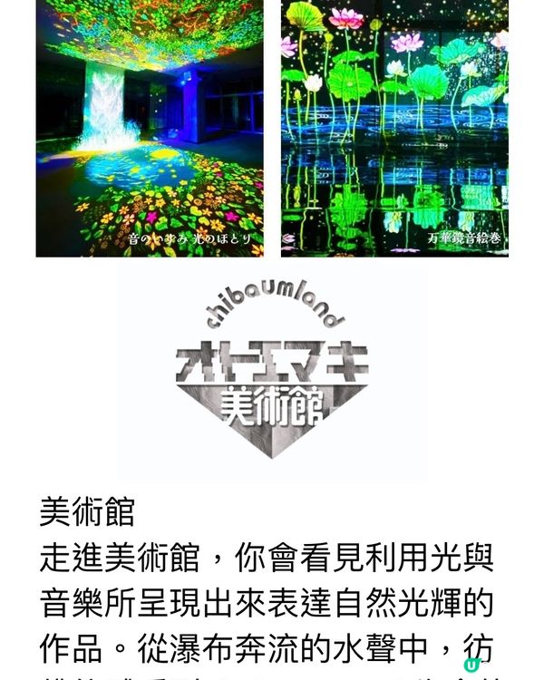 ✨走進光影幻想世界✨