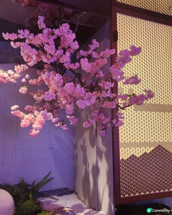 深圳日本風打卡人氣放題 💕