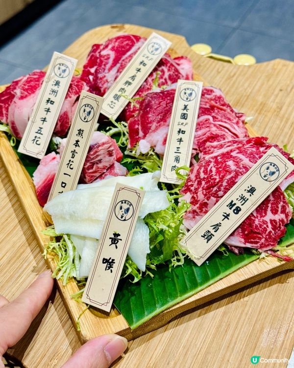 觀塘打邊爐大冒險！無限時任食值唔值得一試？🐶🍲