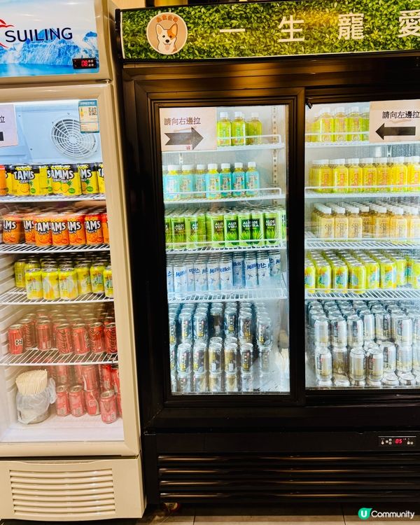 觀塘打邊爐大冒險！無限時任食值唔值得一試？🐶🍲