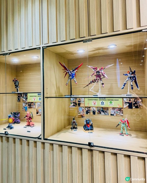 觀塘打邊爐大冒險！無限時任食值唔值得一試？🐶🍲