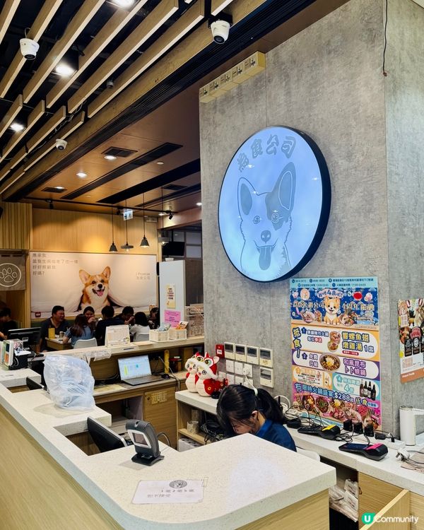 觀塘打邊爐大冒險！無限時任食值唔值得一試？🐶🍲