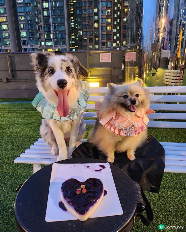 Moko半歲生日啦！