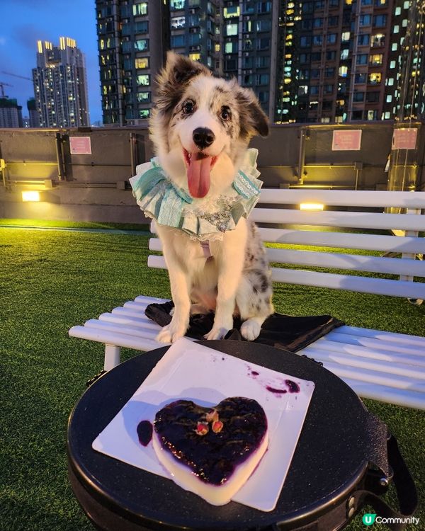 Moko半歲生日啦！