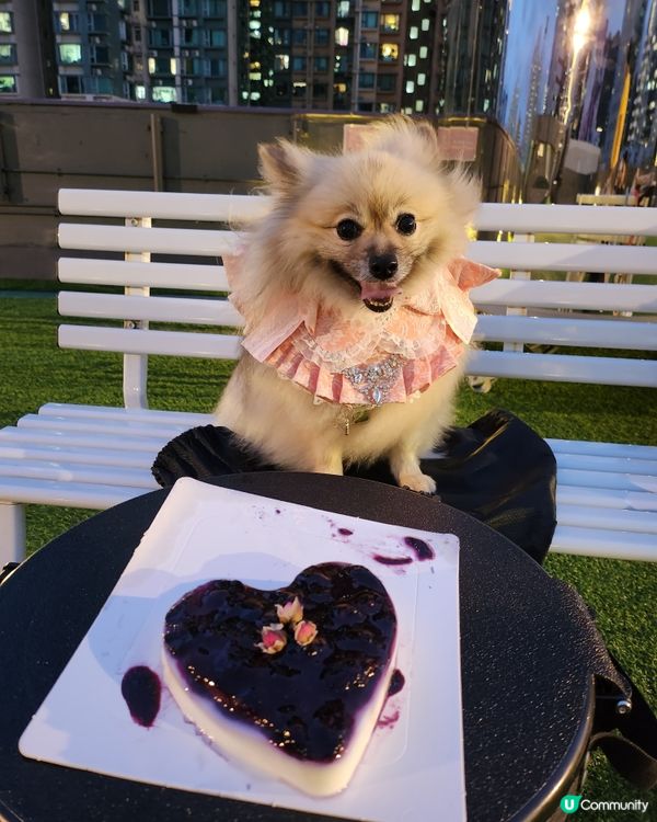 Moko半歲生日啦！