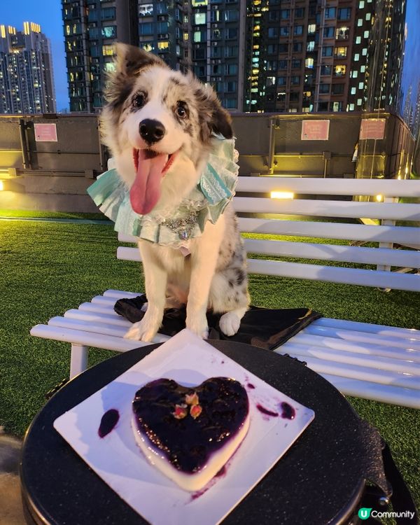 Moko半歲生日啦！