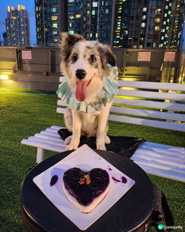 Moko半歲生日啦！