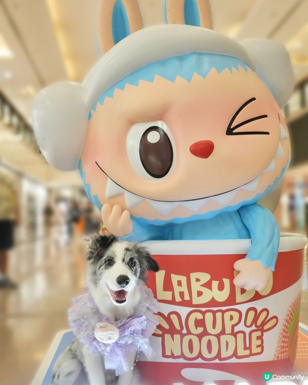 Labubu 快閃店