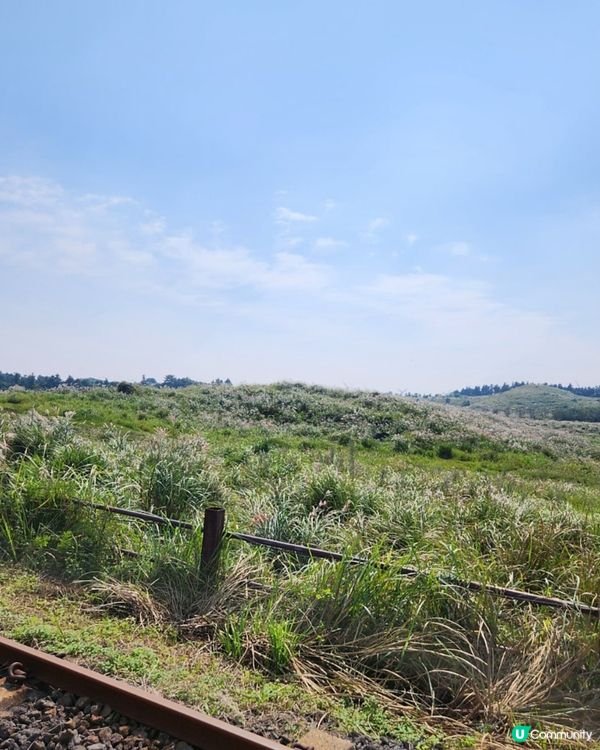 🇰🇷濟州島旅行 | 東邊必玩「Railbike」全攻略‼