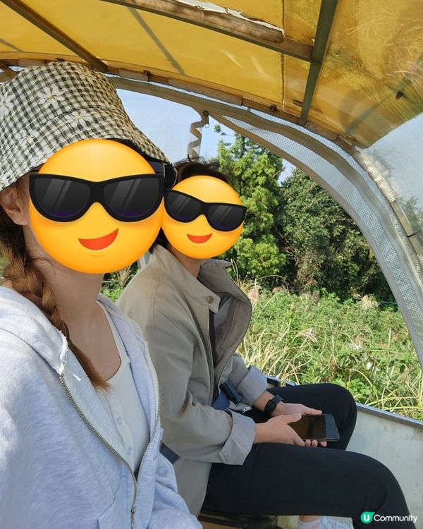 🇰🇷濟州島旅行 | 東邊必玩「Railbike」全攻略‼