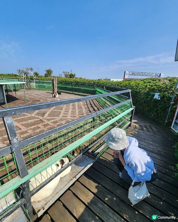 🇰🇷濟州島旅行 | 東邊必玩「Railbike」全攻略‼