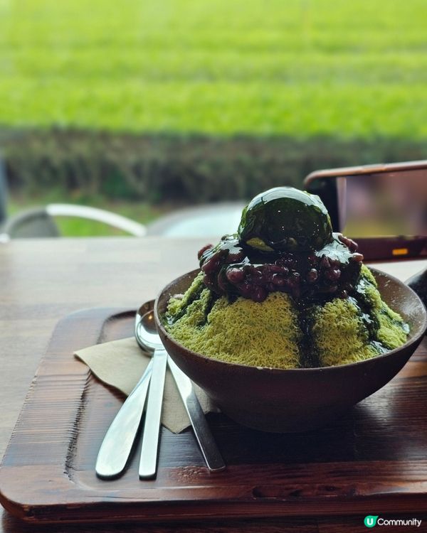 🇰🇷濟州島涯月邑 | 綠茶田中的治癒系咖啡廳「涯月맛차」