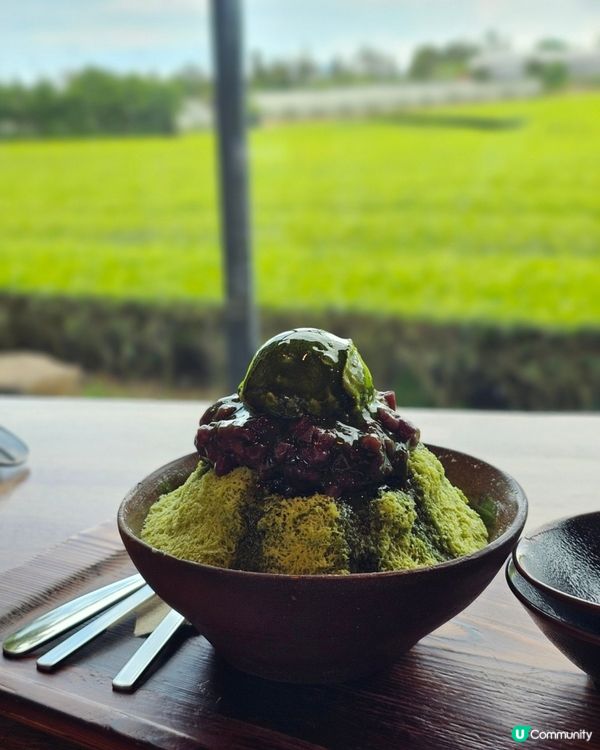 🇰🇷濟州島涯月邑 | 綠茶田中的治癒系咖啡廳「涯月맛차」